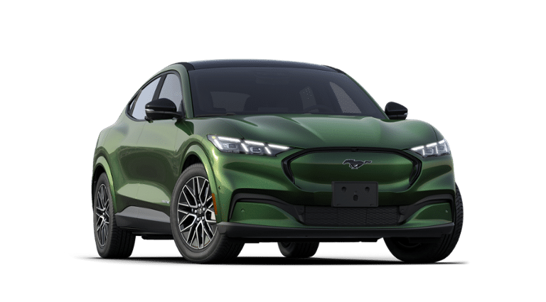 Mustang Mach-E® vehicle